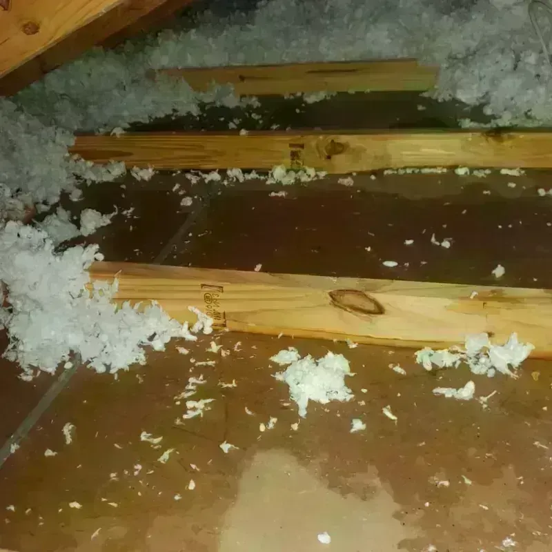 Attic Water Damage in Troy, TN