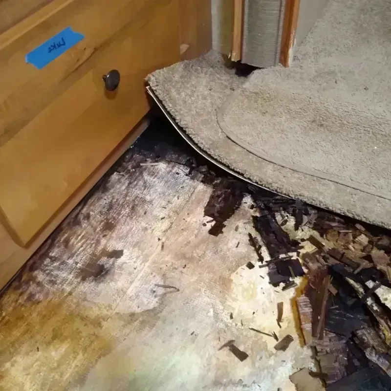 Wood Floor Water Damage in Troy, TN